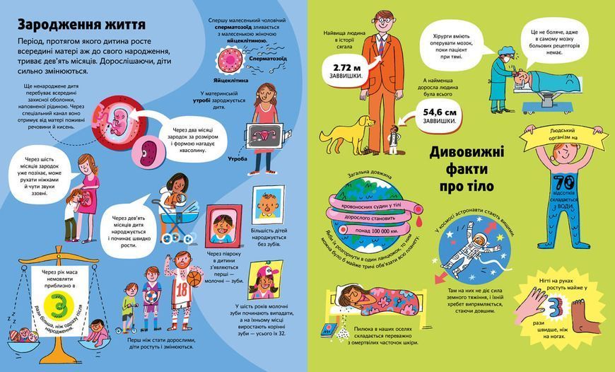 Велика книга про тіло. Мінна Лейсі. 978-6177-688-09-8 1207 фото